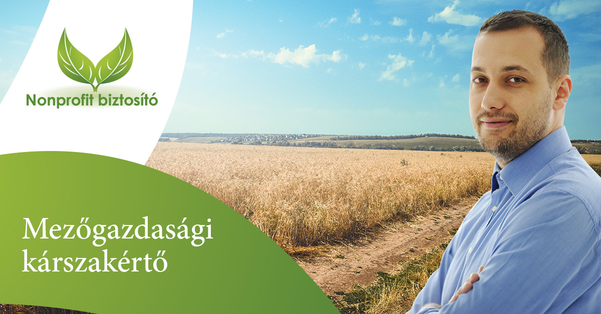 kárszakértő állásajánlat