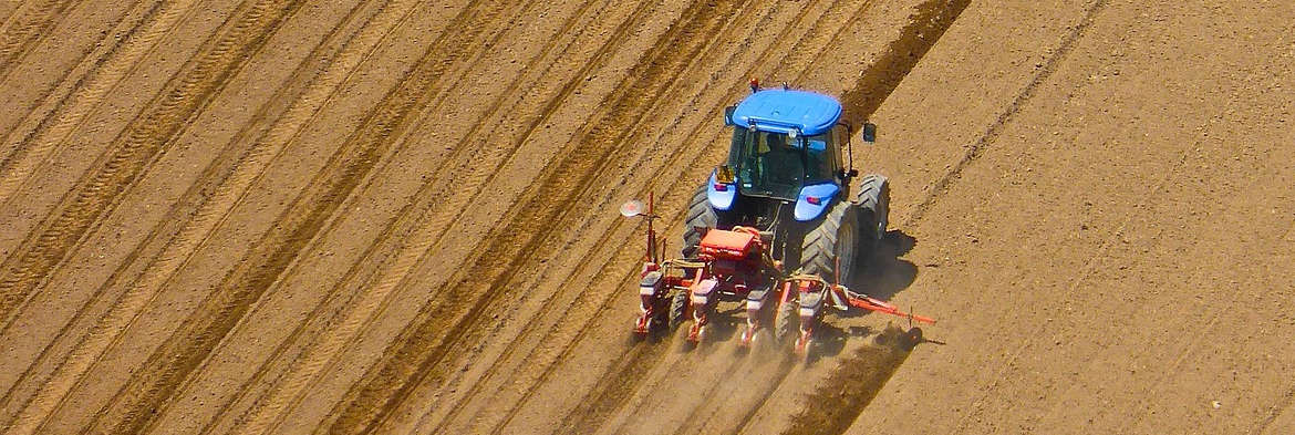 szántás