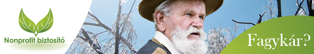 2017 téli fagykár kötés